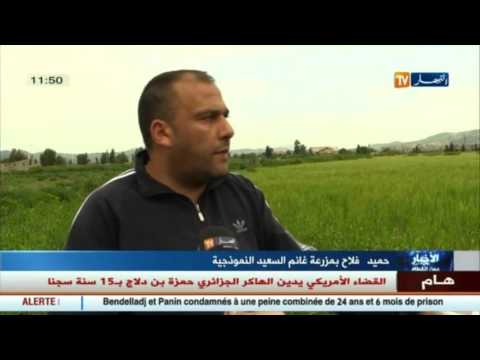 شاهد أراضي فلاحية ملك الدولة للبيع