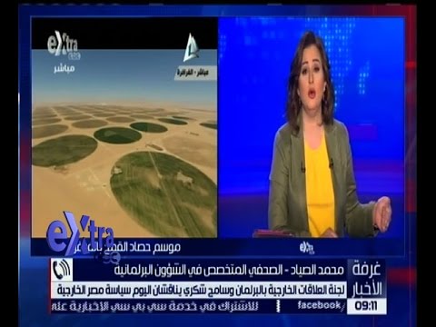 تعرف على سياسية مصر الخارجية