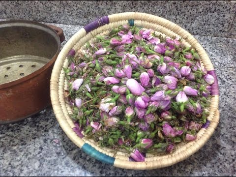 تقطير ماء الورد في المنزل و الاحتفاظ به مدة اطول