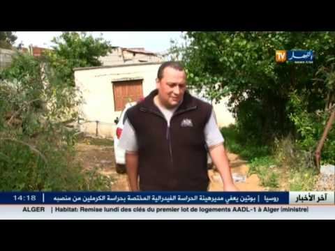 فيديو الأقدام السوداء يستولون على قطعة أرض في الخرايسية