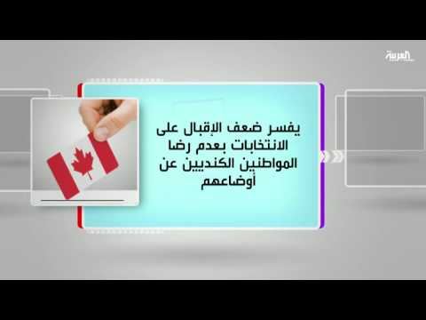 بالفيديو كل يوم كتاب يطرح ماذا حدث للسياسة 