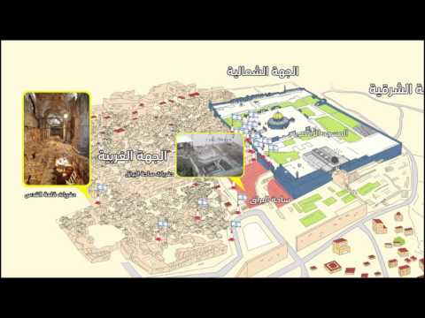 شاهد الحفريات تحت الأقصى