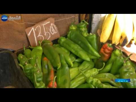 بالفيديو توقع بانخفاض أسعار الخضر والفواكه في الجزائر