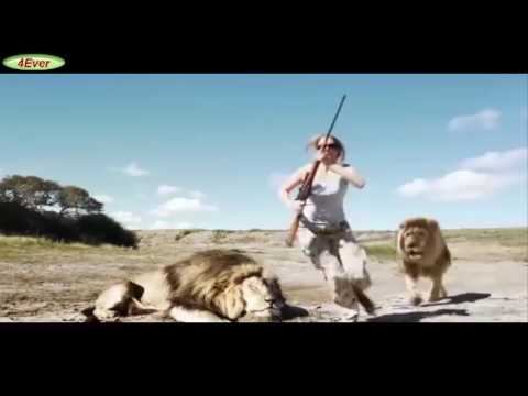 شاهد كيف انتقم أسد لمقتل رفيقه