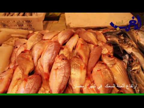 بالفيديو ارتفاع أسعار السمك في المغرب في شهر رمضان