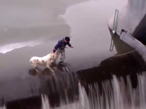 لحظة إنقاذ كلب من الغرق في روسيا