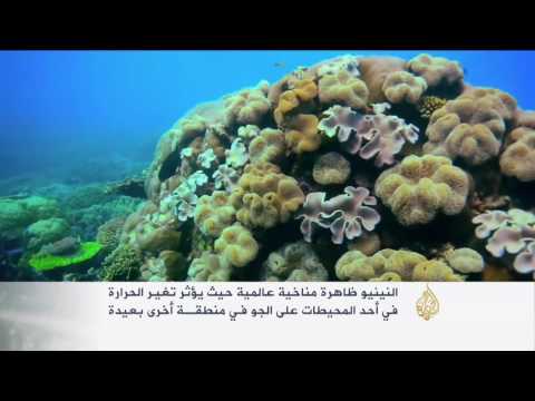 شاهد ناسا تحذر من أن هذا العام هو الأشد حرارة