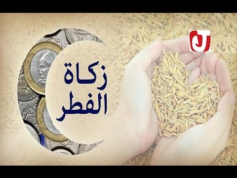 بالفيديو زكاة الفطر عند المغاربة بين اخراجها عينًا أو نقدًا