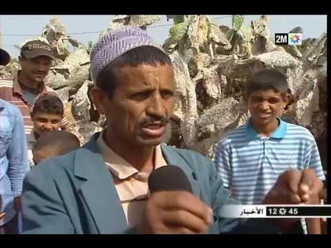 شاهد تعرف على حقيقة المرض الذي يصيب فاكهة الهندية