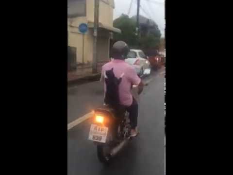 شاهد قطة تتجول بدراجة نارية على طريقة المحترفين