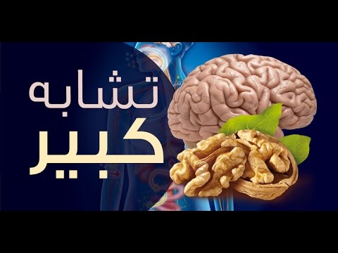 فيديو 9 خضروات وفاكهة تشبه أجهزة جسم الإنسان إلى حدٍّ كبير