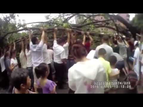 بالفيديو  لحظة سقوط شجرة ضخمة على رجل