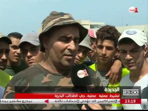 تقرير يستعرض  حرفة جني الطحالب البحرية وإشكاليات التقنين