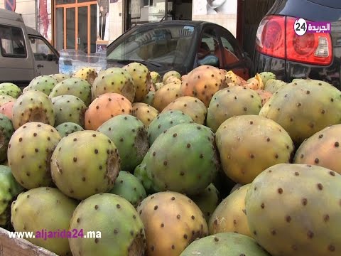 شاهد  كيف تعامل الشارع مع مرض الهندية