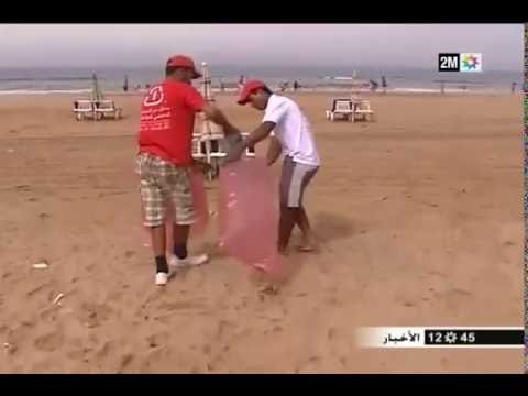 بالفيديو أهم الأخبار البيئية مع الخبيرة نادية ليوبي