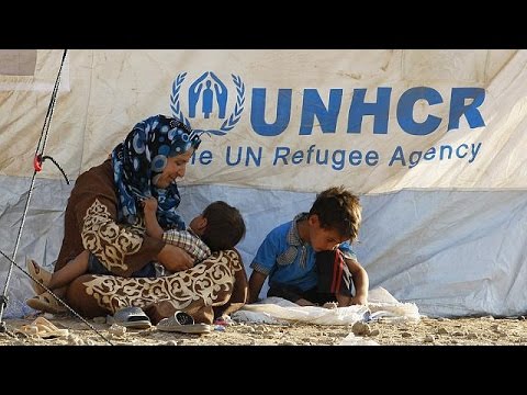 شاهد تدشين اليوم العالمي للعمل الإنساني