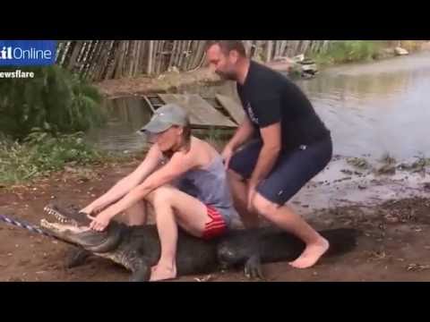 بالفيديوشاهد لحظة التهام تمساح لإصبع مرشد سياحي