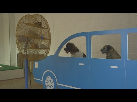 شاهد تدشين معرض فني في لندن