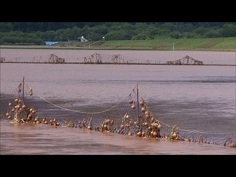 قتيل وعشرات الجرحى جراء إعصار ضرب اليابان