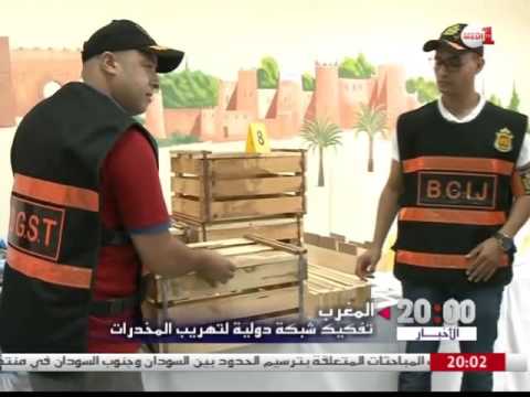 شاهد تفكيك شبكة دولية لتهريب المخدرات