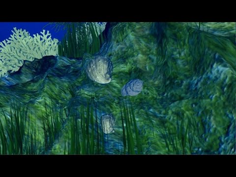 بالفيديو زيادة حموضة المحيطات بسبب انبعاثات الغازات الدفيئة