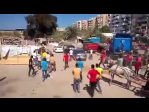 بالفيديو عجل هائج يتسبب في اصابة العشرات داخل سوق بور سعيد