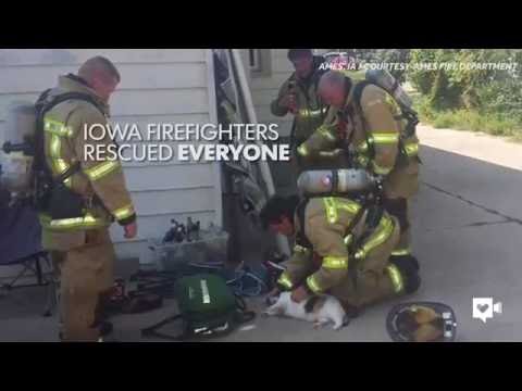 شاهد قوة مطافىء تتحرك لإنقاذ حياة قطة من الحريق