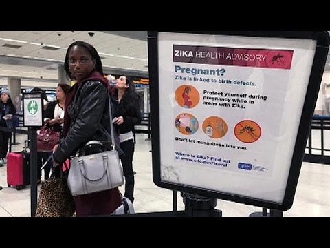 بالفيديو  ولاية فلوريدا الأميركية ترش مبيدًا مضادًا لـزيكا بالطائرات