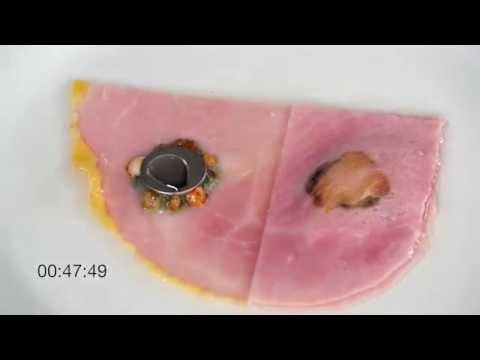 بالفيديو خطورة ابتلاع طفلك لبطاريات الألعاب