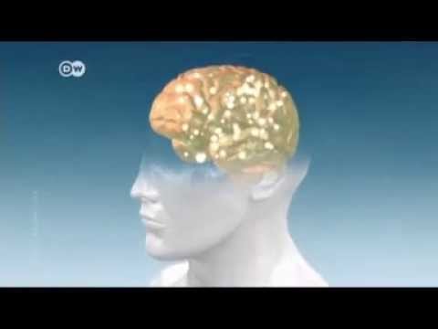 بالفيديو الفوائد الصحية للقنب الهندي المخدر الحشيش