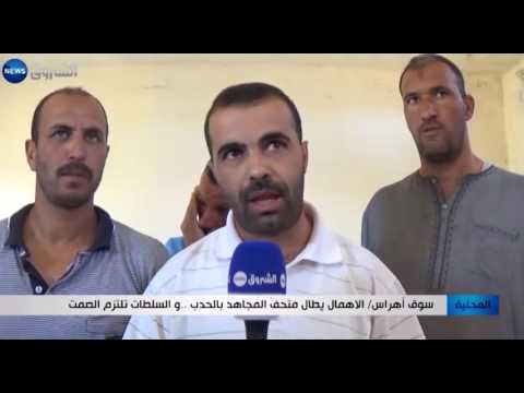 شاهد الإهمال يطال متحف المجاهد في الحدب