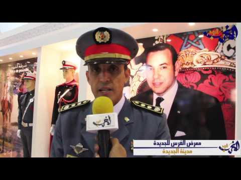 بالفيديو  تعرف على أهمية الخيول داخل الحرس الملكي المغربي