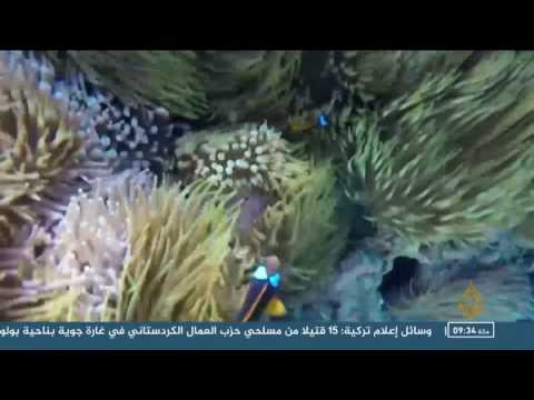 شاهد حملة أسترالية لحماية الشعاب المرجانية