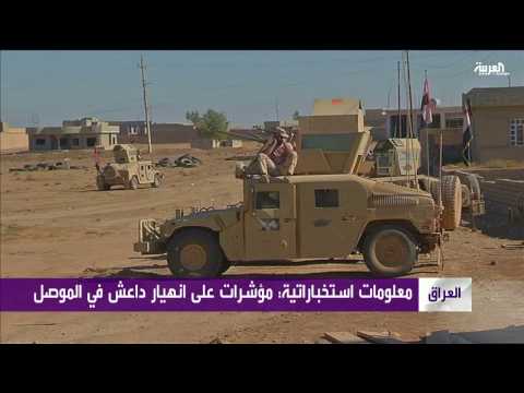 شاهد مؤشرات على انهيار في صفوف داعش في الموصل