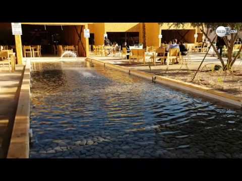 مطاعم كوب22 صديقة للبيئة ومكلفة