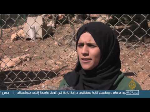 جولة في غابة المأوى في جرش شمالي الأردن