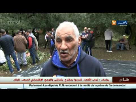 بالفيديو  أخبار الجزائر العميقة