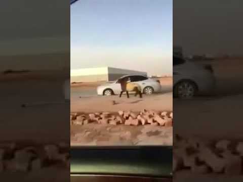 شاهد لحظة هروب خروف من صاحبه وسط السيارا