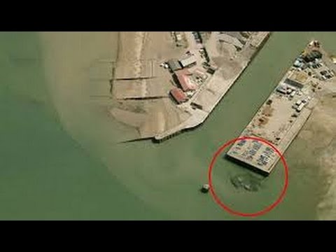 شاهد  مخلوق ضخم يسبح في البحار