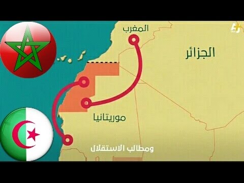 شاهد سبب ظهور أزمة الصحراء الغربية بين المغرب والجزائر