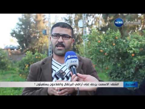 الإسمنت يزحف على أراضي البرتقال