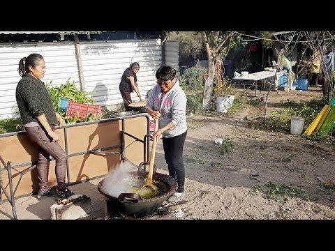 شاهد مخاوف المكسيكيين تزداد من ترامب