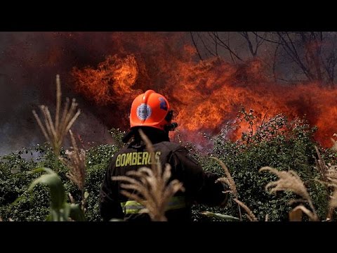 مقتل 11 شخصًا وتدمير 300 ألف هكتار من الغابات في شيلي