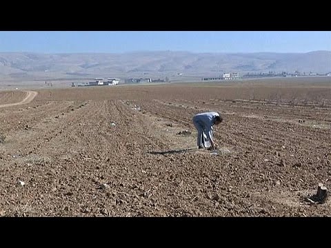 المزارعون يتحدثون عن أيام حكم داعش