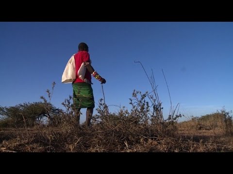 شاهد  صراع على الأرض في المرتفعات الكينية