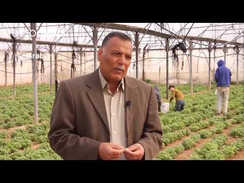 بالفيديو  تفاقم أزمة ورود و أزهار قطاع غزة المحاصر