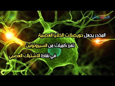 شاهد الشرطة حجزت 230 ألف حبة إكستاسي