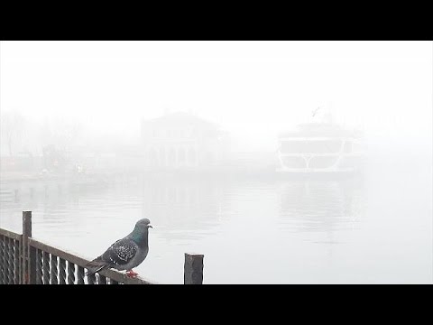 شاهد الضباب يعطل حركة المواصلات في مدينة اسطنبول