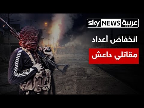 شاهد انخفاض أعداد مقاتلي داعش