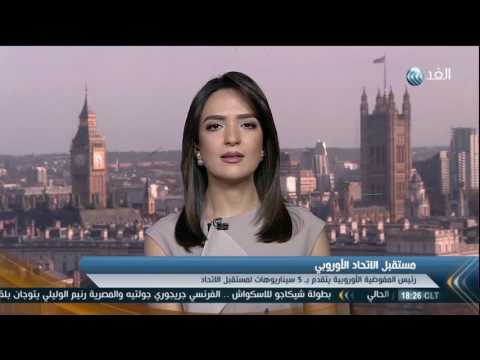 بالفيديو سليم بدوي يؤكّد أن الاتحاد الأوروبي يعاني من أزمة كبيرة هزّت كيانه